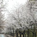 우천중학교 이미지