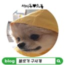 시우스쿨링 대화 이미지