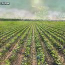 이상근농장 이미지