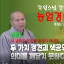 각성스님 강해_능엄경 제60강 / 두 가지 정견과 색공의 시견, 비시견의 의미를 깨닫지 못하다. 이미지