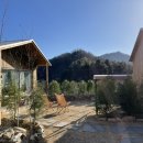 스테이자연도 이미지