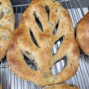닥터브레드 | 생활의달인 통밀빵 🍞송도 안나앤브레드 다녀온 후기