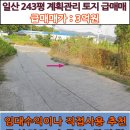 일산신도시 청바지 입은 유명한 소형 상가건물 급매매 2억5천 이미지