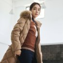 크로커다일 이미지