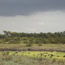 용당포구 이미지