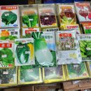 경기종묘사 이미지