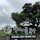 해포목장 | 제주 혼자갔서예 마지막탄🐄