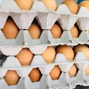 영광군푸드뱅크 이미지