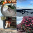 상모로-14 | 제주도여행 3박4일 일정 코스추천 놀거리 가볼만한곳 총정리 (동백포레스트, 길갈팜랜드, 새별오름)