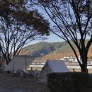 금문반점중화요리 이미지