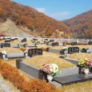도봉-도봉-서울도봉-2482 이미지
