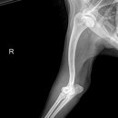 ANA메디컬 이미지