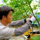 찬찬농장 이미지