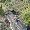 정방폭포 주차장 | 제주도 겨울여행 일주일살기 제주3대폭포 정방폭포 내돈내산 솔직후기
