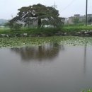 남면도서관 이미지