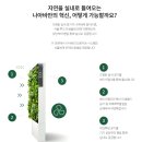 참교육 우진 엄마도 선택한 실내 공기정화 식물, 나아바 스마트 그린월로 바뀐 일상