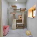 고양이 무마취미용&호텔 무냥무냥 부산서면점 이미지