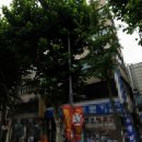 뉴스타부동산중개주식회사 이미지