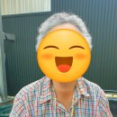 구슬목경로당 네이버블로그