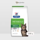 고양이 팔경 캣스쿨 | 이밥풀 다이어트 시작 (내돈내산 고양이 다이어트 사료 추천 : 힐스메타볼릭)