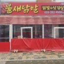 불새닭발 이미지