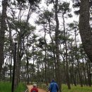 송림황토가든 이미지