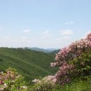 소백산에서 이미지