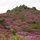 겸백초등학교 이미지