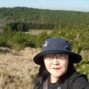 제주4일여행: 가시리 녹산로유채꽃도로-아부오름-하늘래기-절물휴양림-제주4.3평화공원-함덕해수욕장-봉구식탁-빅토리아(Day 4) 이미지