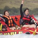 올인원투어 이미지