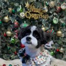 온블리살롱 이미지