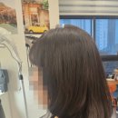 마이선물헤어