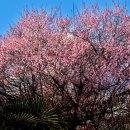 행정사사무소 봄 이미지