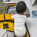 펫피플 스타필드명지점 | 여행 - 부산 광안리, 에어비앤비 숙소, 용이초밥, 밀락더마켓, 듀플릿, 민락어패류시장, 스타필드시티명지