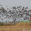 지보 태양광발전소 이미지