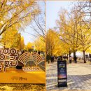 곡교천 은행나무길 이미지