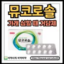 솔정 이미지