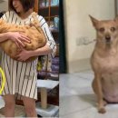 어와둥둥 이미지