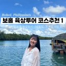 상식농장 | 보홀 12 : 마이리얼트립 스타인월드 육상투어 나비농장, 로복강 선상 뷔페 후기