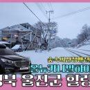 울진숲속의산장펜션