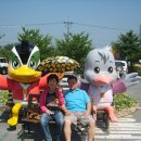 2009년 8월15일 전주, 군산 를 다녀와서 이미지