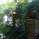 하얀농장 이미지