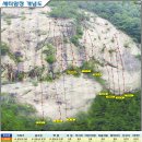 새터 Daum카페