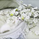 보은메디칼 이미지