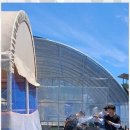 세븐 랜드 이미지