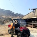 다우목장 이미지