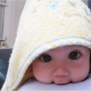 일본어 회화(기초) 이미지