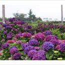 안성리-6 이미지