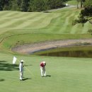 파인스골프연습장 이미지