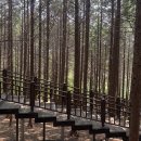 동구리호수공원잔디광장 | 전라남도 화순 여행지 추천! 동구리호수공원,수만리 편백숲,벽오동 보리밥 맛집까지 완벽코스